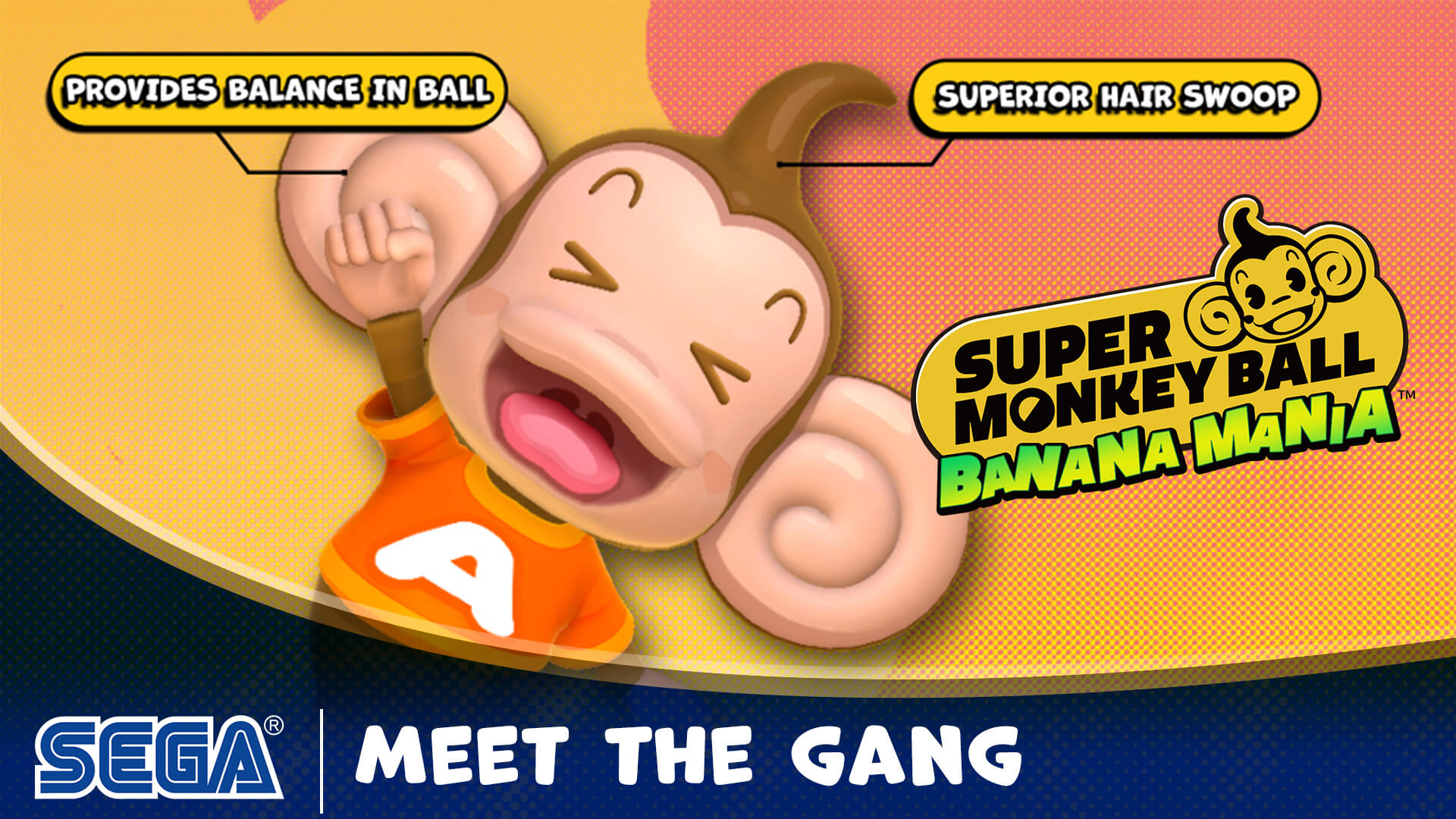 Super Monkey Ball: Banana Blitz HD - Nintendo Switch : .com